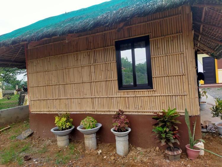 Casa De Flores Alaminos Esterno foto